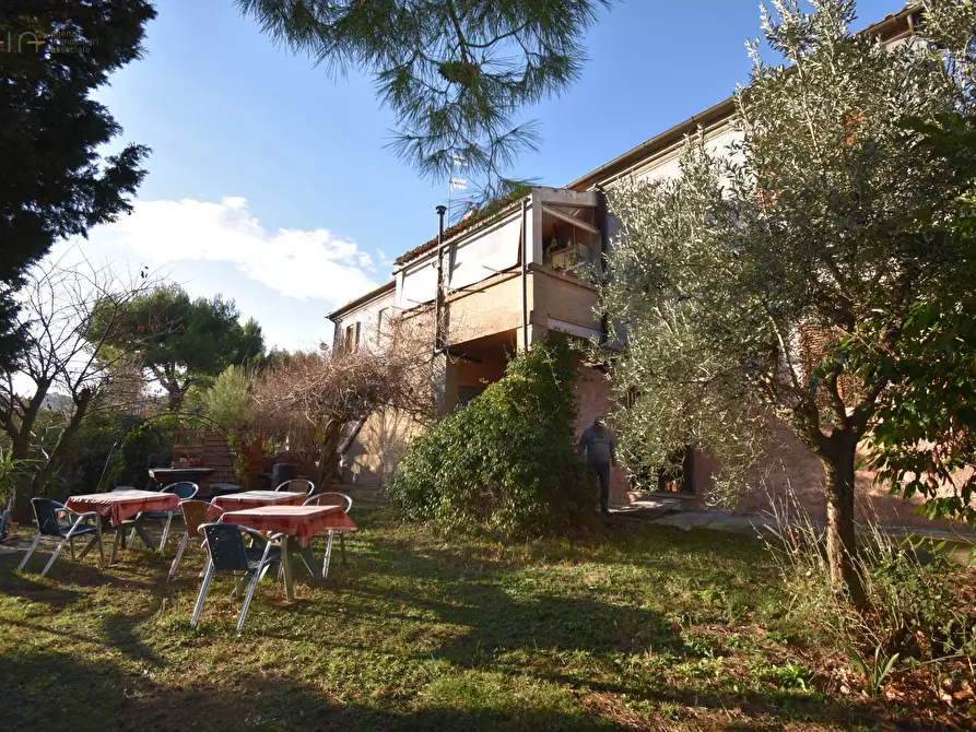 Immagine 18 di Villa in vendita  in Contrada Pianacciole a Ripatransone