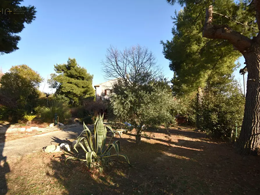 Immagine 18 di Rustico / casale in vendita  in Contrada Pianacciole a Ripatransone