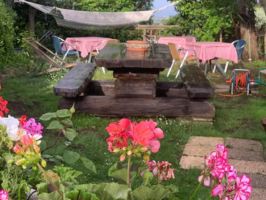 Immagine 7 di Rustico / casale in vendita  in Contrada Pianacciole a Ripatransone