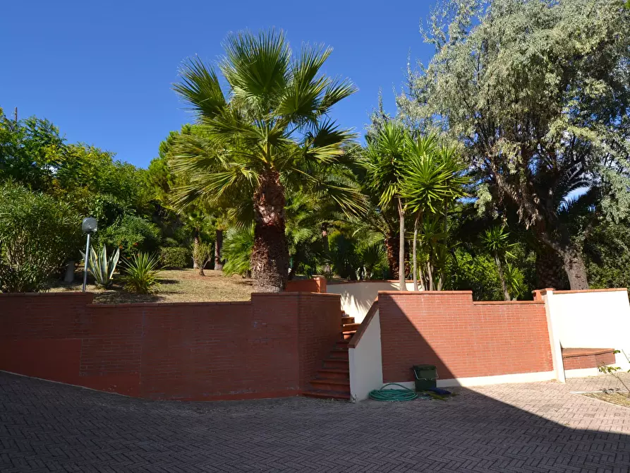 Immagine 52 di Villa in vendita  in Collina residenziale a Ancarano