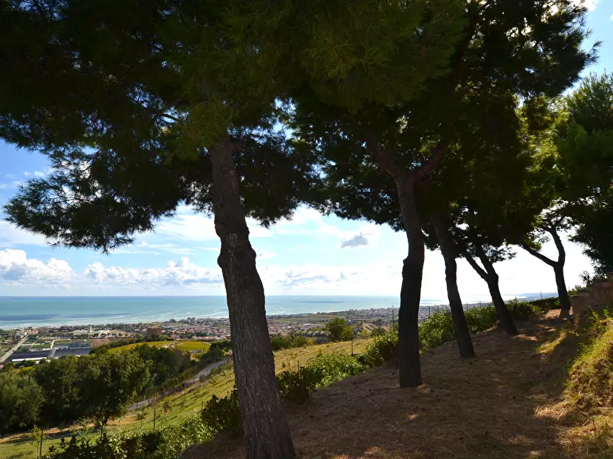 Immagine 37 di Villa in vendita  in Collina residenziale a Ancarano
