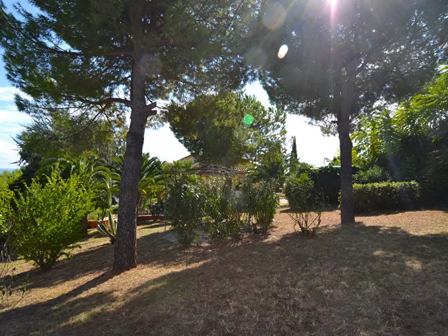 Immagine 30 di Villa in vendita  in Collina residenziale a Ancarano