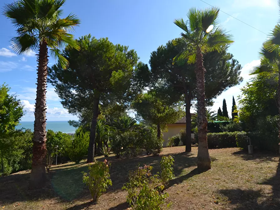 Immagine 39 di Villa in vendita  in Collina residenziale a Ancarano