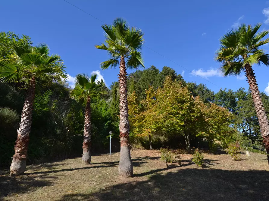 Immagine 51 di Villa in vendita  in Collina residenziale a Ancarano