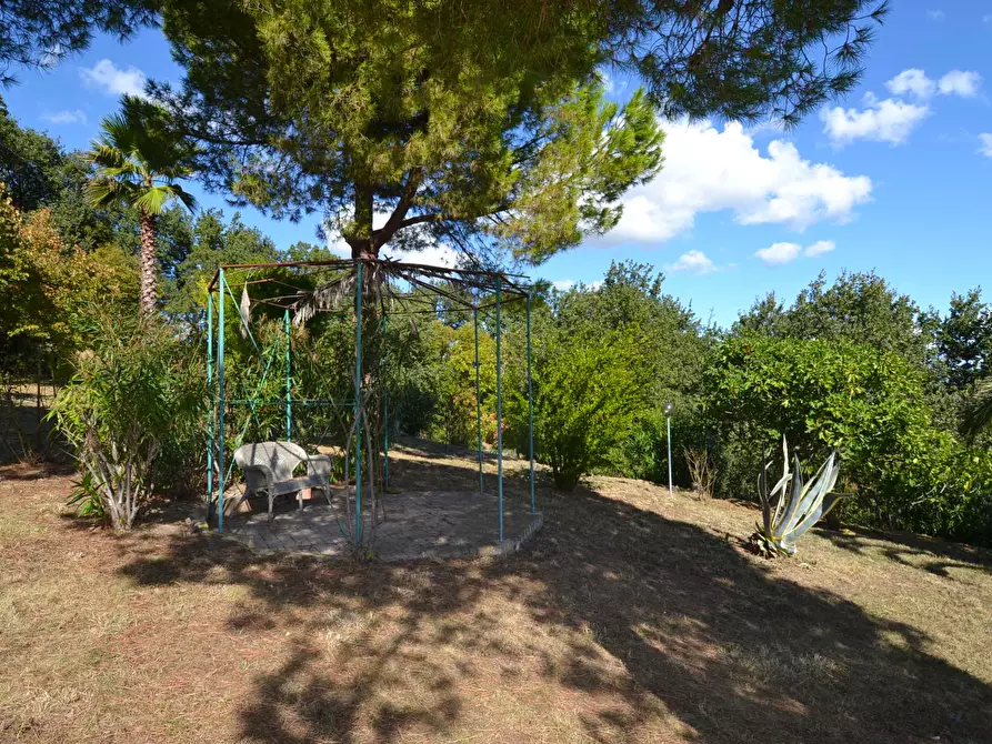 Immagine 50 di Villa in vendita  in Collina residenziale a Ancarano