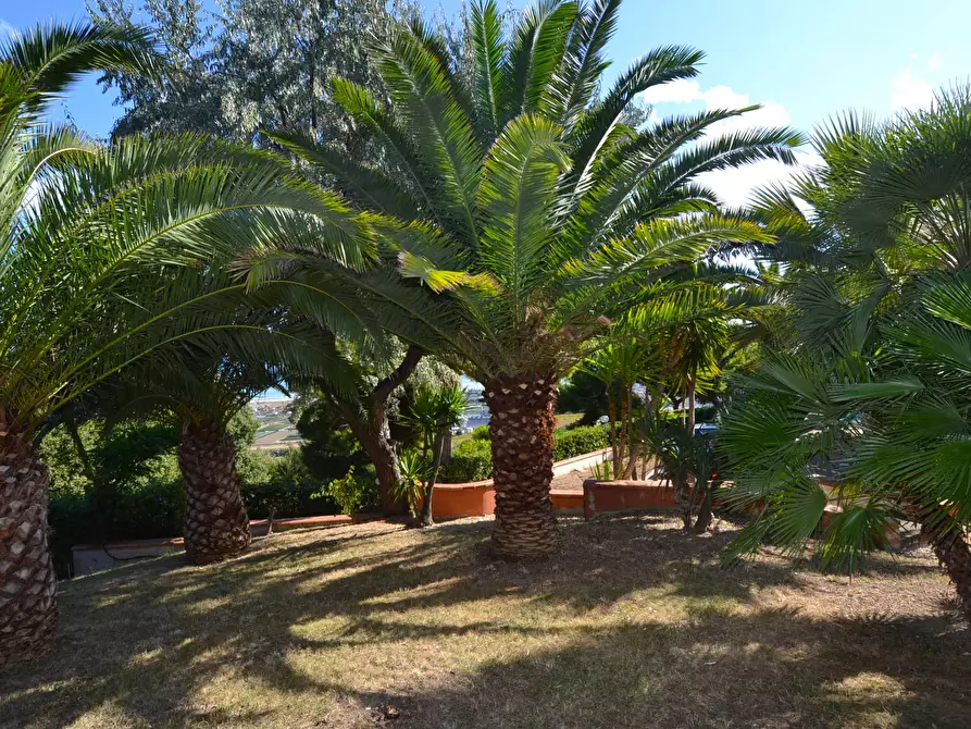 Immagine 48 di Villa in vendita  in Collina residenziale a Ancarano