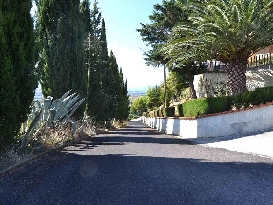 Immagine 46 di Villa in vendita  in Collina residenziale a Ancarano