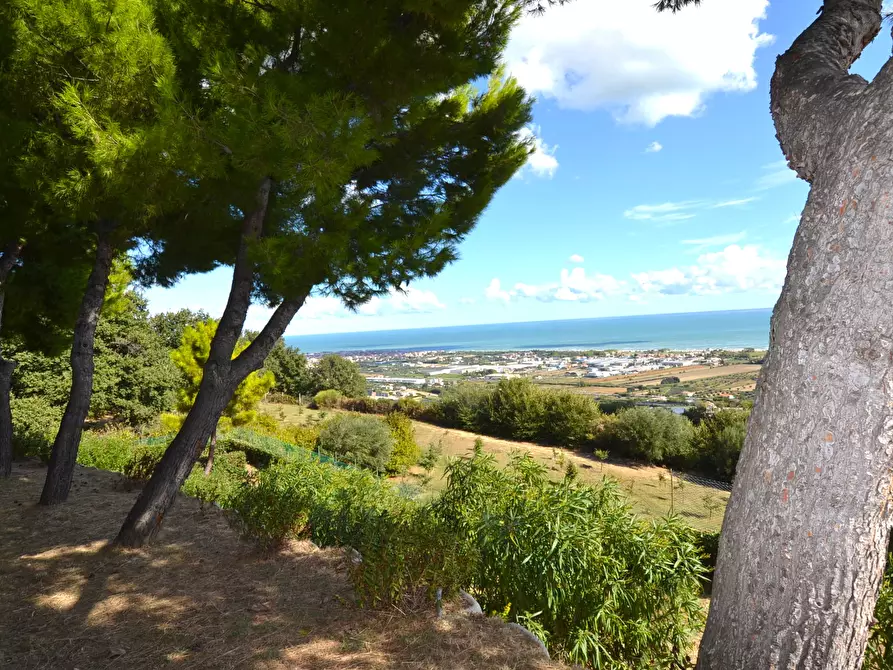 Immagine 26 di Villa in vendita  in Collina residenziale a Ancarano