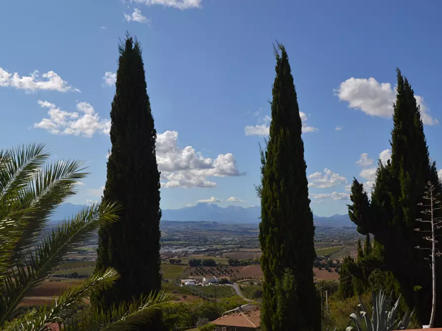 Immagine 25 di Villa in vendita  in Collina residenziale a Ancarano