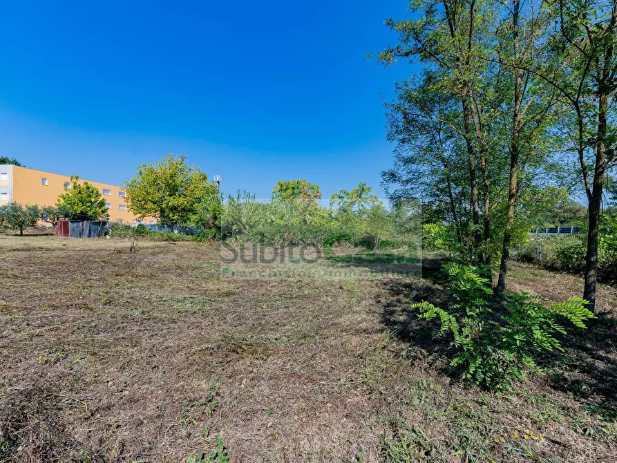 Immagine 2 di Terreno agricolo in vendita  in Via Pignatelli a Cepagatti