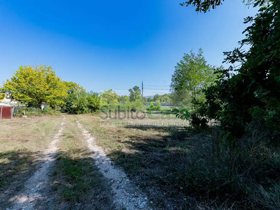 Immagine 5 di Terreno agricolo in vendita  in Via Pignatelli a Cepagatti
