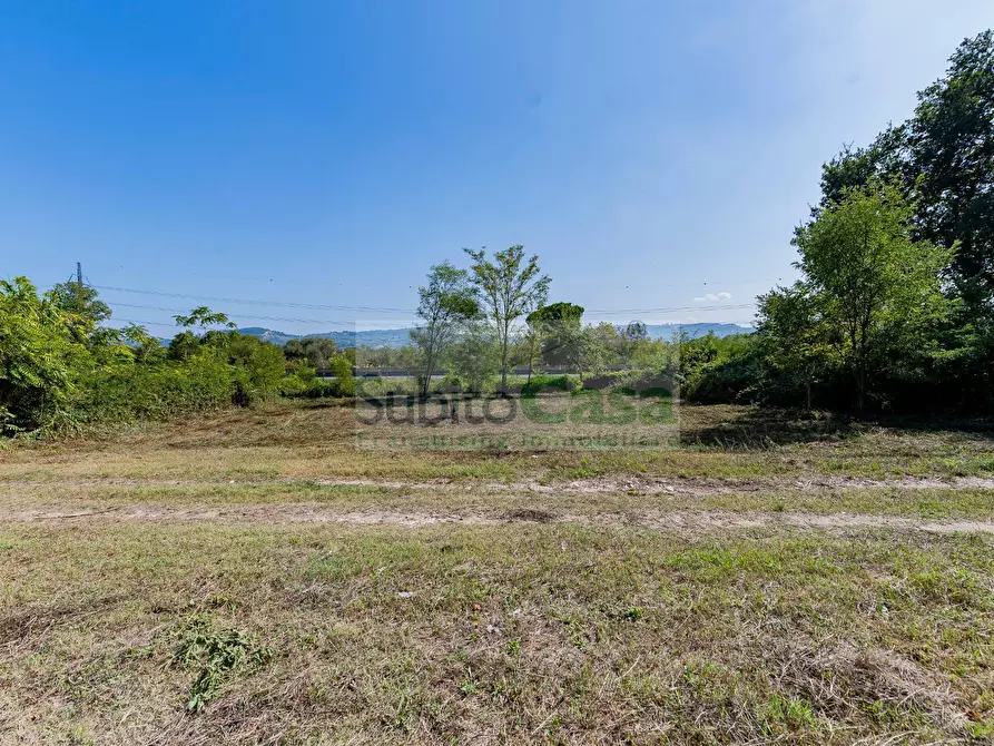 Immagine 8 di Terreno agricolo in vendita  in Via Pignatelli a Cepagatti