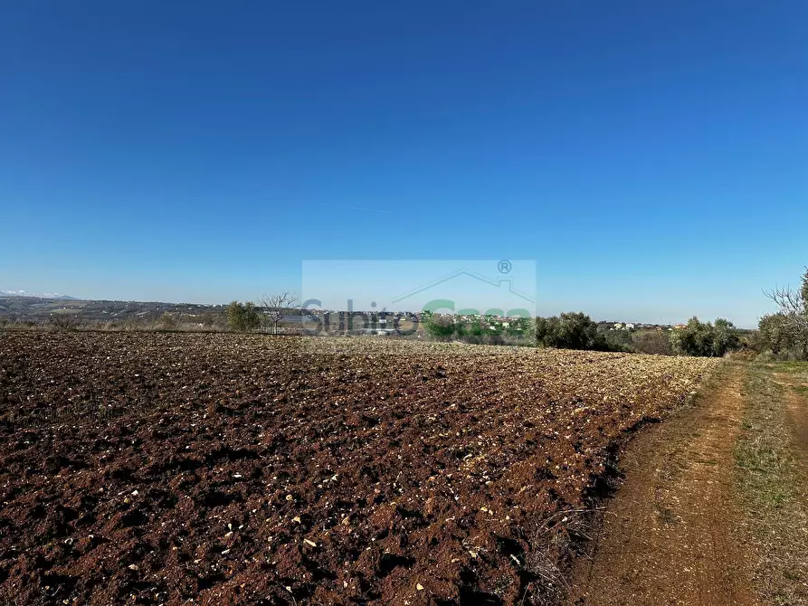 Immagine 10 di Terreno residenziale in vendita  in strada provinciale 20 a Rosciano