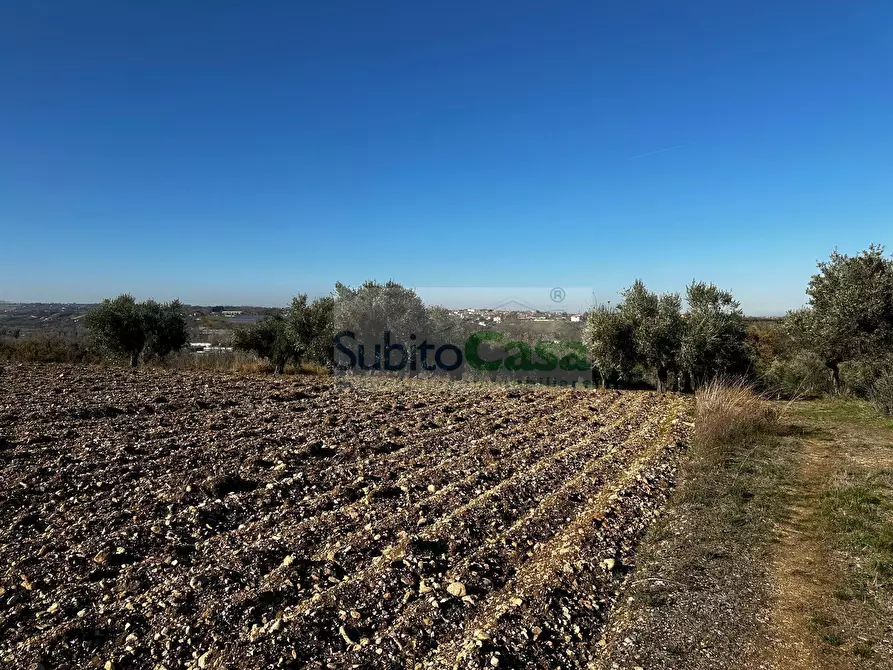 Immagine 13 di Terreno residenziale in vendita  in strada provinciale 20 a Rosciano