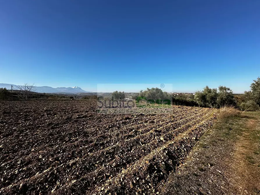 Immagine 14 di Terreno residenziale in vendita  in strada provinciale 20 a Rosciano