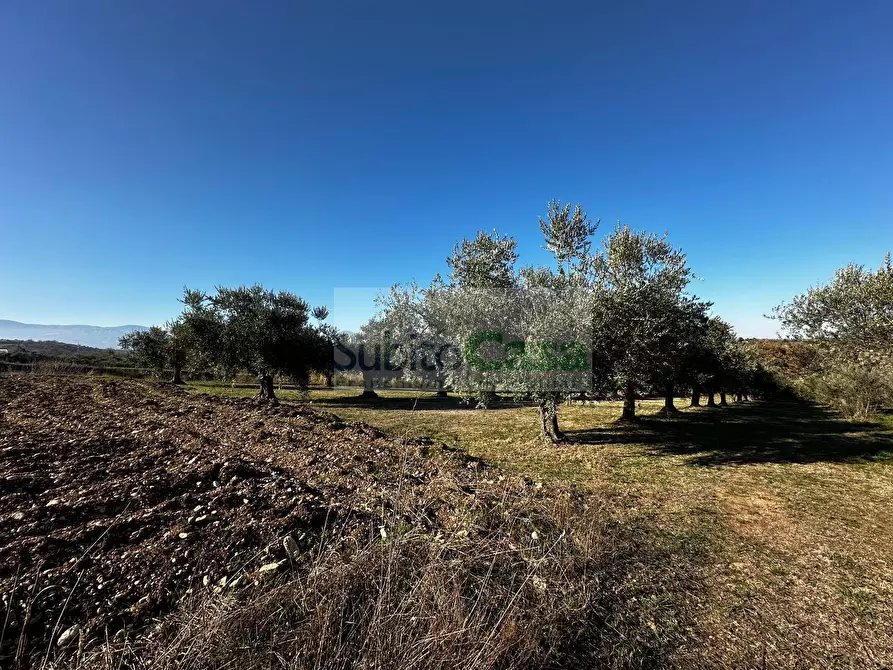 Immagine 15 di Terreno residenziale in vendita  in strada provinciale 20 a Rosciano