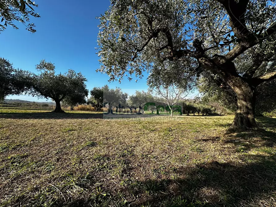 Immagine 16 di Terreno residenziale in vendita  in strada provinciale 20 a Rosciano