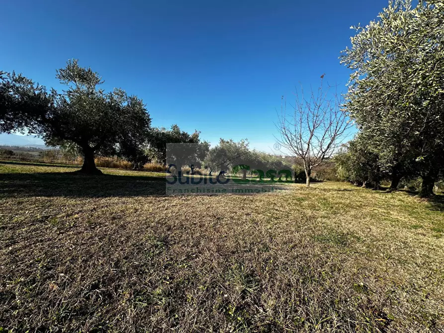 Immagine 17 di Terreno residenziale in vendita  in strada provinciale 20 a Rosciano
