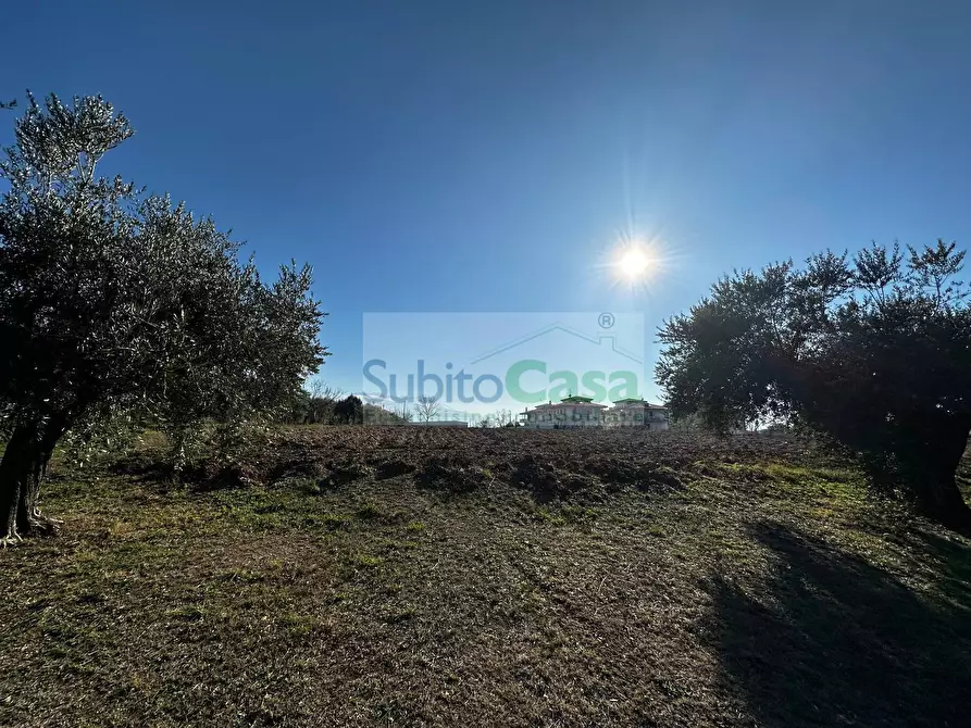 Immagine 18 di Terreno residenziale in vendita  in strada provinciale 20 a Rosciano