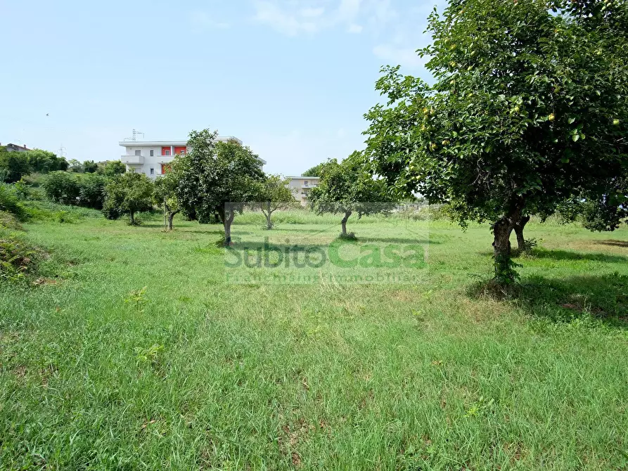 Immagine 2 di Terreno residenziale in vendita  in Viale Europa a Paglieta