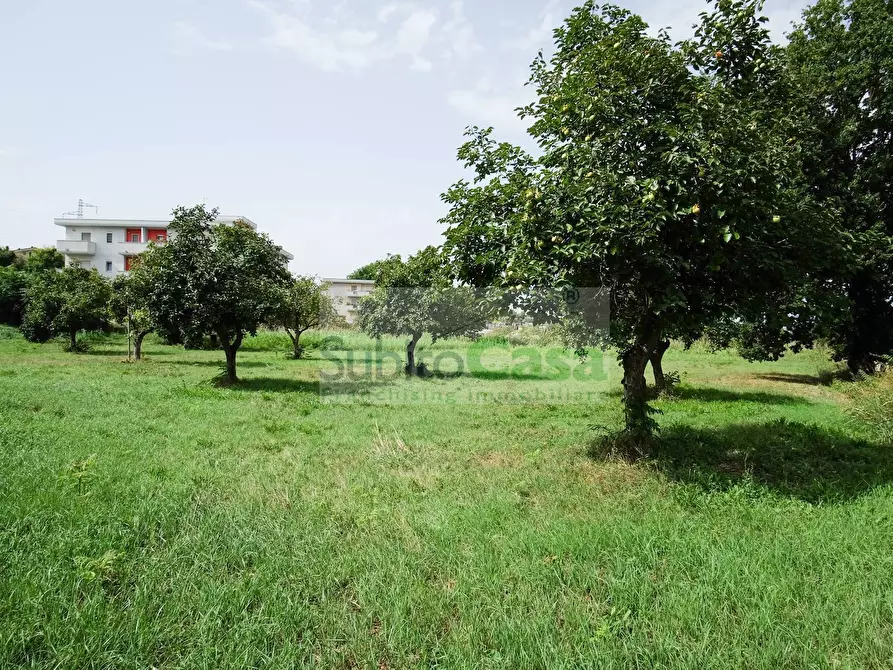 Immagine 3 di Terreno residenziale in vendita  in Viale Europa a Paglieta