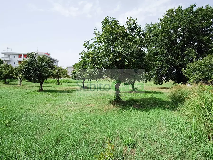 Immagine 4 di Terreno residenziale in vendita  in Viale Europa a Paglieta