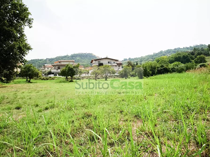 Immagine 7 di Terreno residenziale in vendita  in Viale Europa a Paglieta