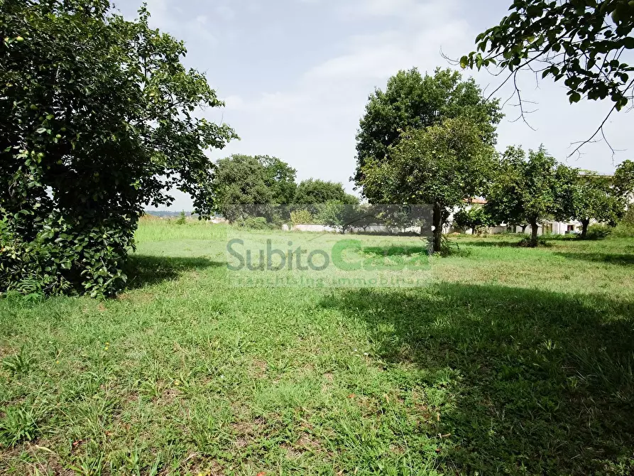 Immagine 8 di Terreno residenziale in vendita  in Viale Europa a Paglieta