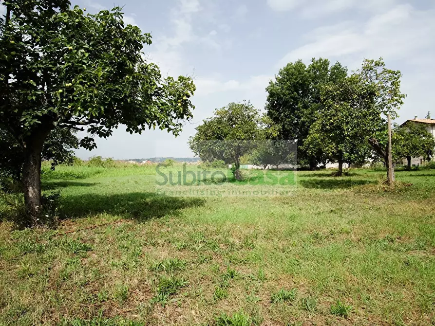 Immagine 9 di Terreno residenziale in vendita  in Viale Europa a Paglieta