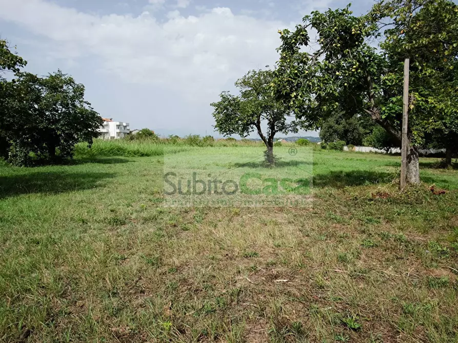 Immagine 10 di Terreno residenziale in vendita  in Viale Europa a Paglieta