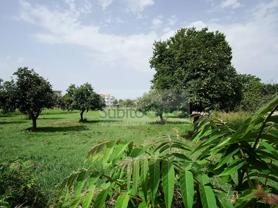 Immagine 11 di Terreno residenziale in vendita  in Viale Europa a Paglieta