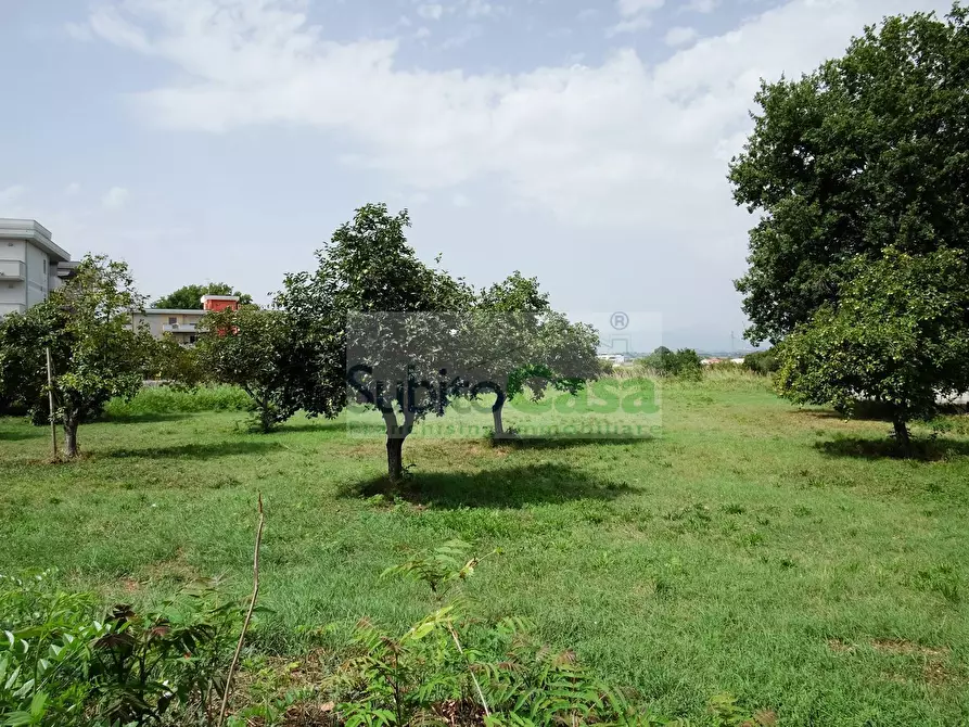 Immagine 12 di Terreno residenziale in vendita  in Viale Europa a Paglieta