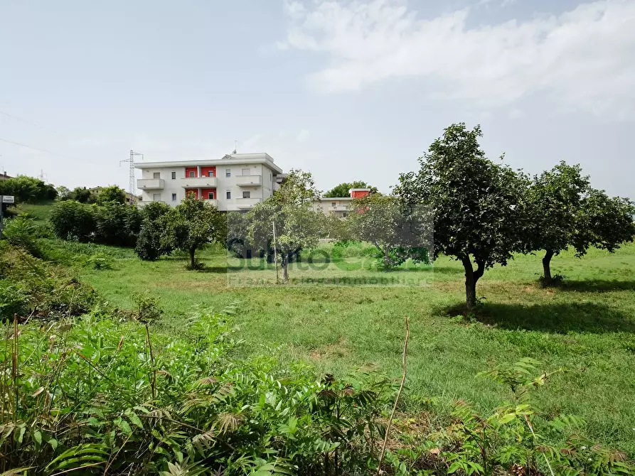 Immagine 13 di Terreno residenziale in vendita  in Viale Europa a Paglieta