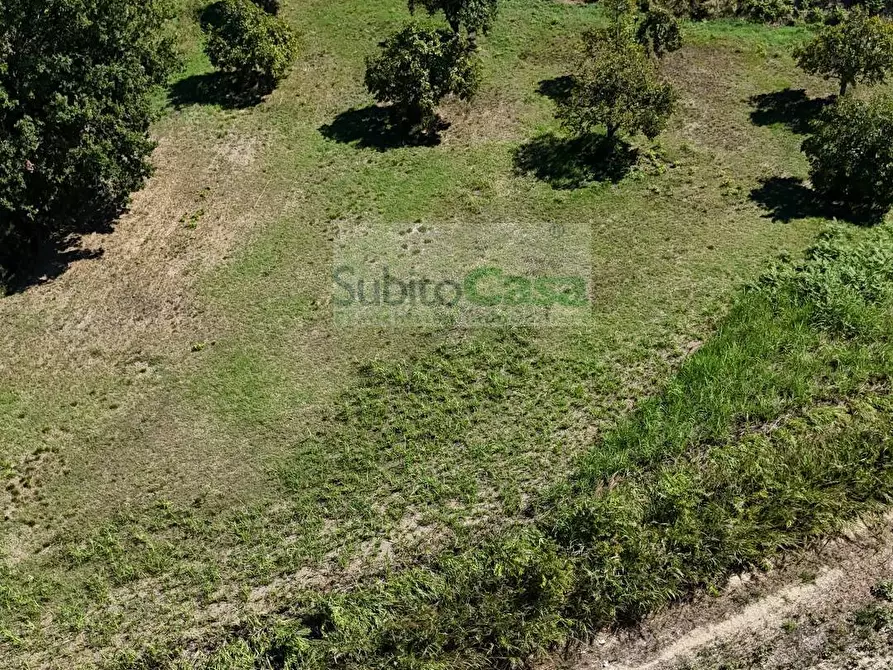 Immagine 16 di Terreno residenziale in vendita  in Viale Europa a Paglieta