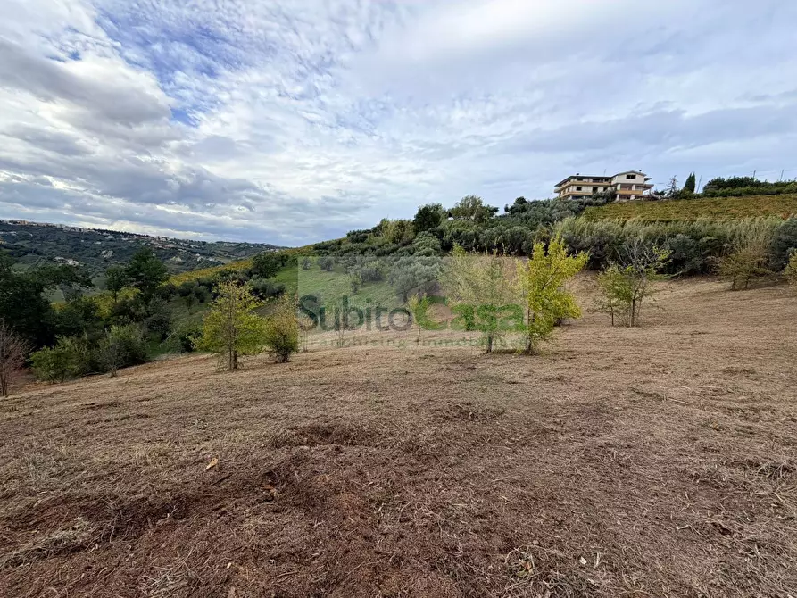 terreno agricolo in vendita a Bucchianico in zona Feudo