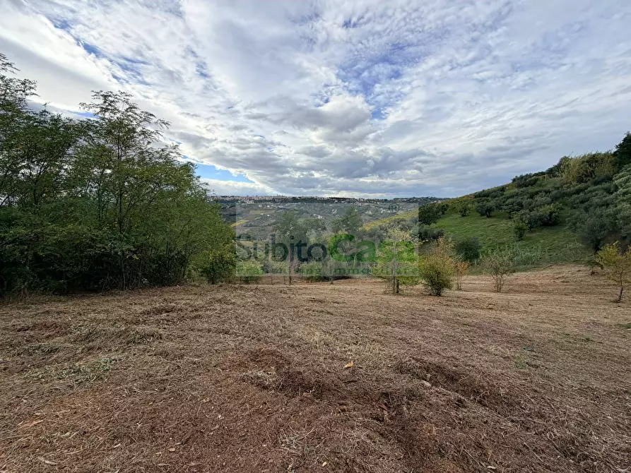 Immagine 3 di Terreno agricolo in vendita  a Bucchianico