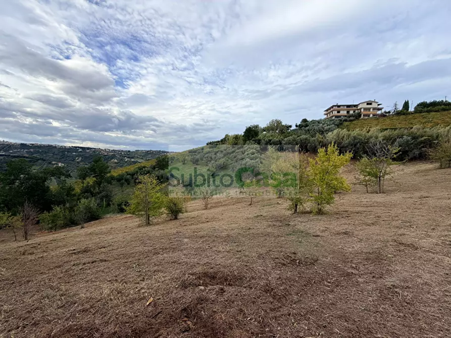 Immagine 4 di Terreno agricolo in vendita  a Bucchianico