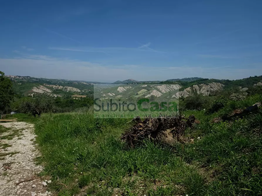 Immagine 46 di Appartamento in vendita  in Via Corsi 12 a Ari