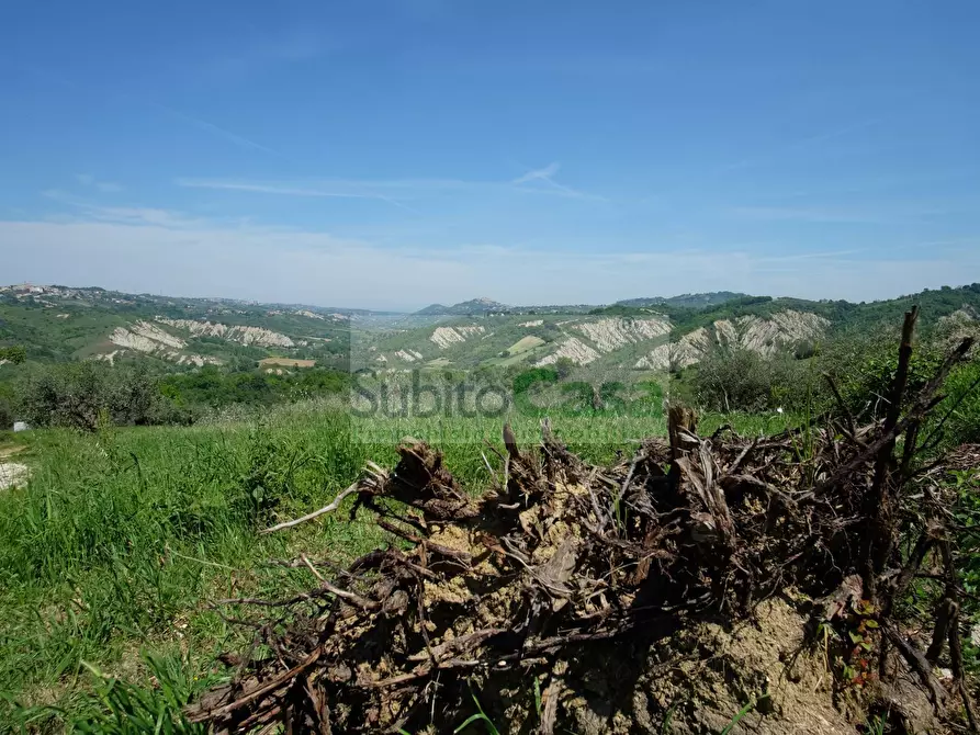 Immagine 47 di Appartamento in vendita  in Via Corsi 12 a Ari
