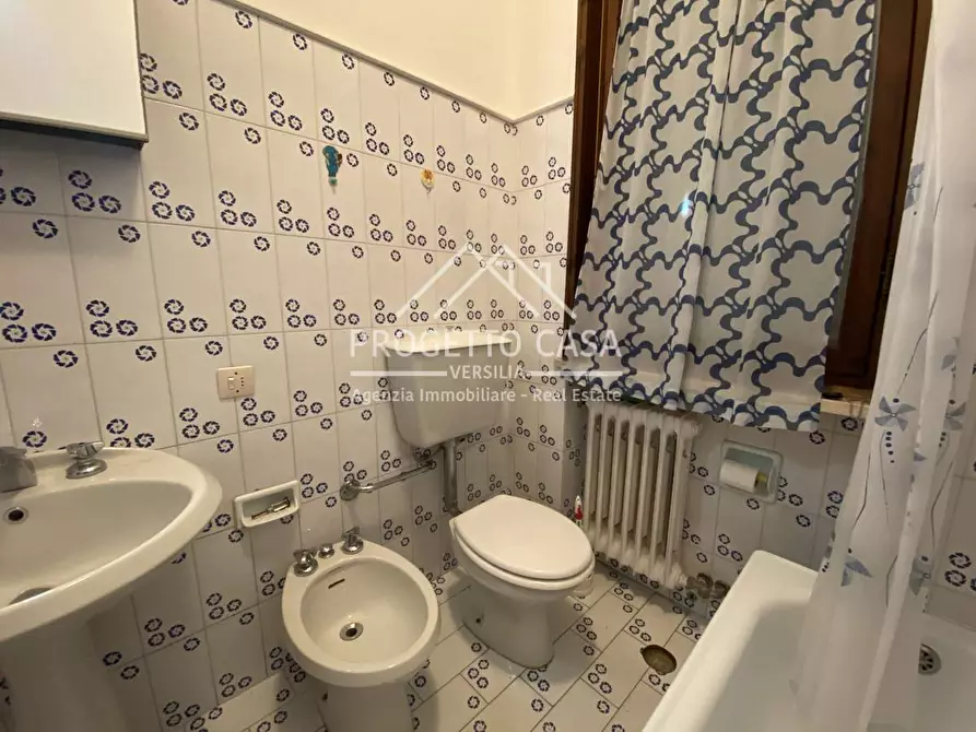 Immagine 19 di Casa indipendente in affitto  in Via dei Platani a Camaiore