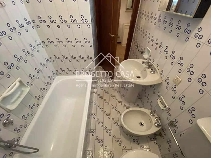 Immagine 21 di Casa indipendente in affitto  in Via dei Platani a Camaiore