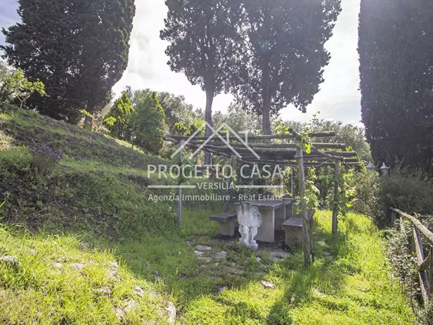 Immagine 39 di Casa indipendente in vendita  in VIA DI COLLI E SPEZI PIANO DEL QUERCIONE a Massarosa