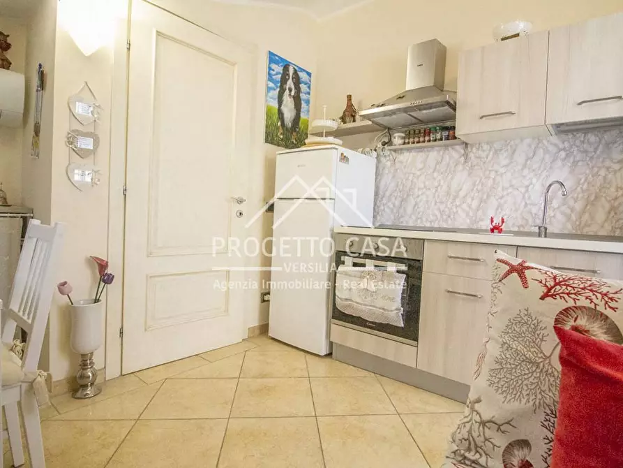 Immagine 36 di Casa indipendente in vendita  in VIA TABARRO a Viareggio