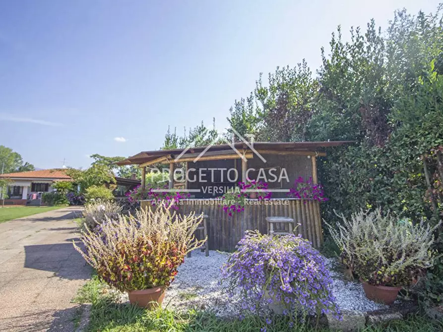 Immagine 20 di Casa indipendente in vendita  in via del trebbiano a Camaiore