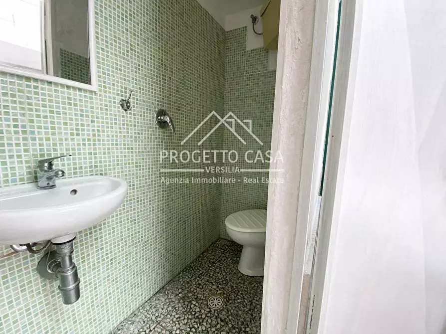 Immagine 13 di Appartamento in vendita  in Via Papini a Camaiore