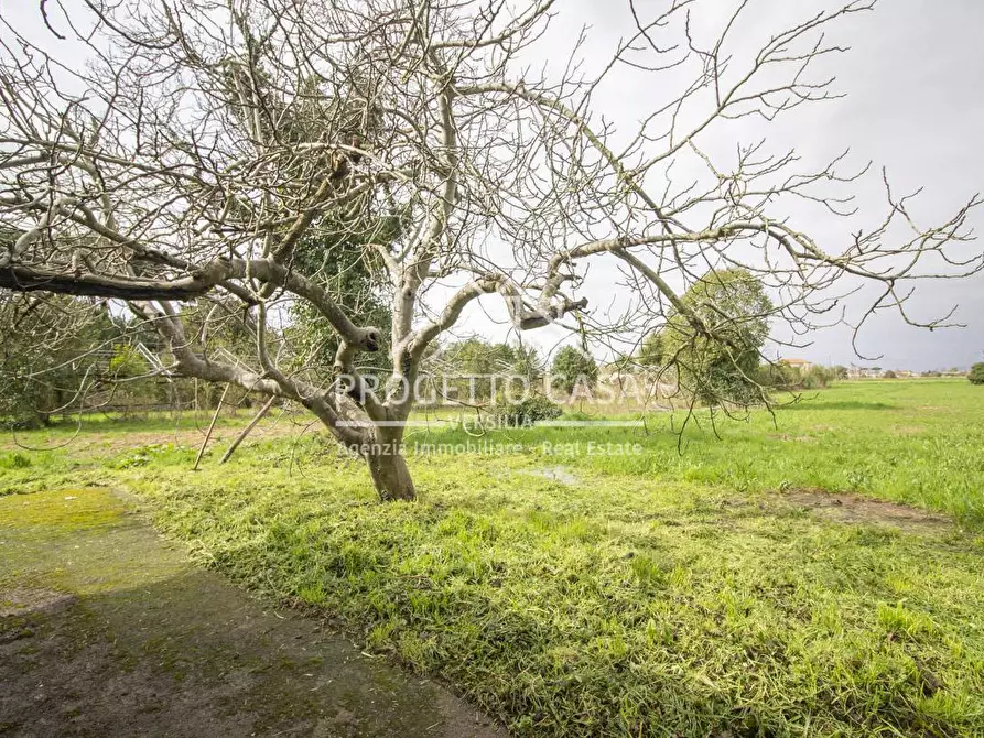 Immagine 51 di Casa indipendente in vendita  in VIA CREMONA a Camaiore