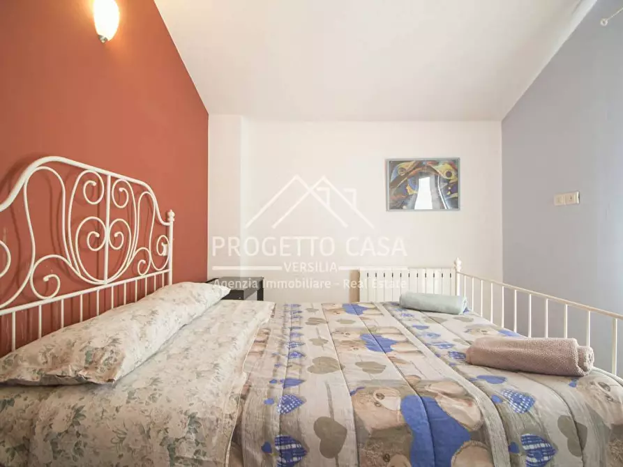 Immagine 21 di Casa indipendente in vendita  in VIA PASCOLI a Viareggio