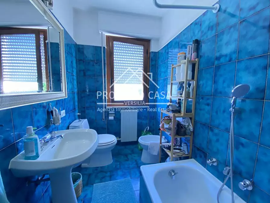 Immagine 15 di Appartamento in affitto  in VIA ADUA a Camaiore