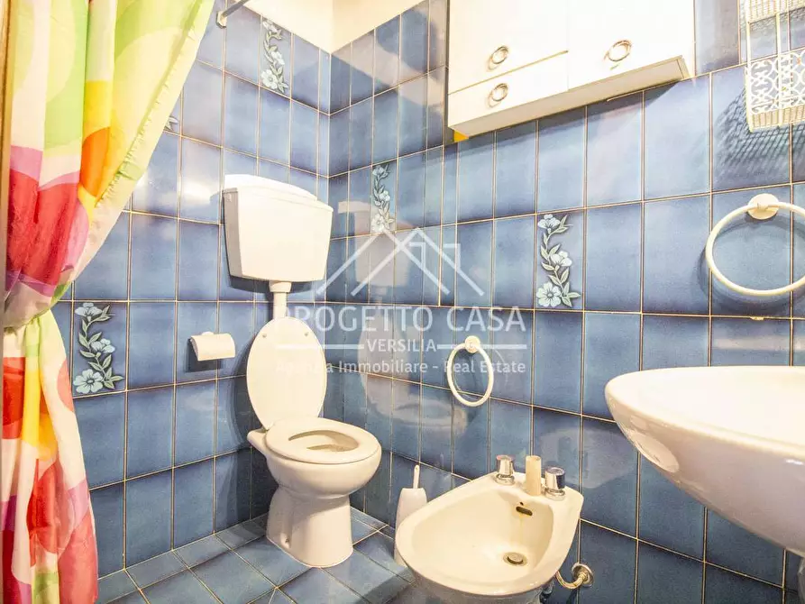 Immagine 9 di Casa indipendente in vendita  in VIA BOHEME a Viareggio