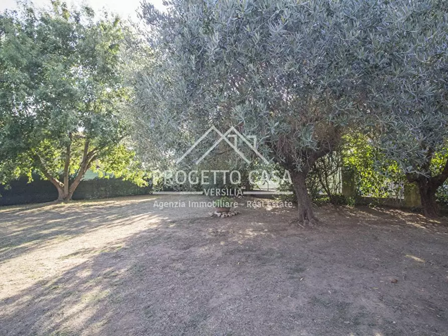 Immagine 29 di Casa indipendente in vendita  in VIA BEPPINO COSCI a Massarosa